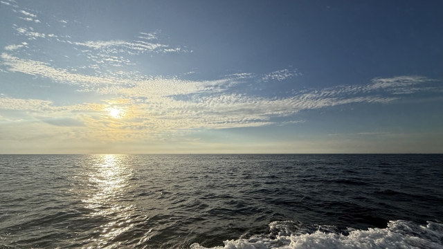 大潮で釣果を出すためには「潮止まり」