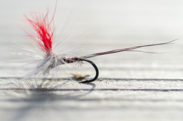 ハリ（フック）のサイズ表記