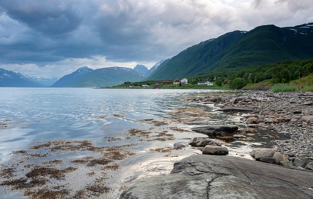 干潮を味方につけろ！地形と時合いで攻略する干潮釣りガイド