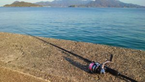 小潮は釣れない？安定した釣果を出す3つの戦略と狙い目の魚種