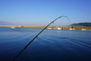 「潮変わり」を制する者が釣果を制す！爆釣を呼ぶ秘密と攻略法