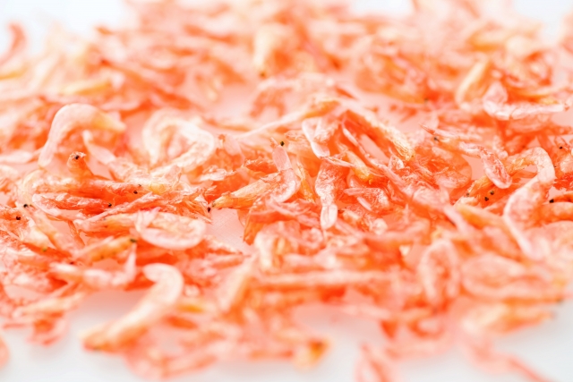 アミエビを完全攻略！釣果を倍増させる使い方と保存法