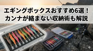 エギングボックスおすすめ6選！カンナが絡まない収納術も解説