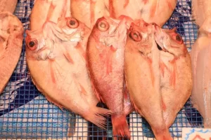 甘鯛の値段はなぜ高い？種類別の相場や旬による価格変動を解説